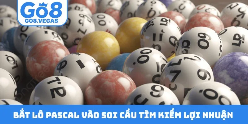 Bắt lô pascal vào soi cầu tìm kiếm lợi nhuận như ý
