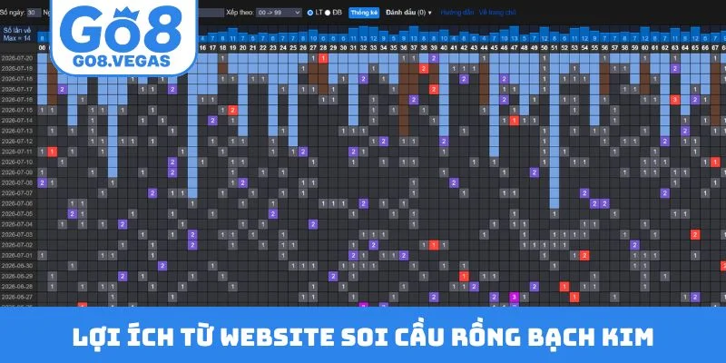 Lợi ích từ website soi cầu Rồng Bạch Kim
