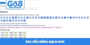 Soi Cầu Rồng Bạch Kim Chốt Số Lô Đề Siêu Chuẩn Bậc Nhất